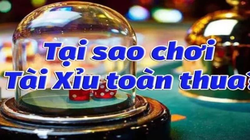 Tại Sao Chơi Tài Xỉu Luôn Thua